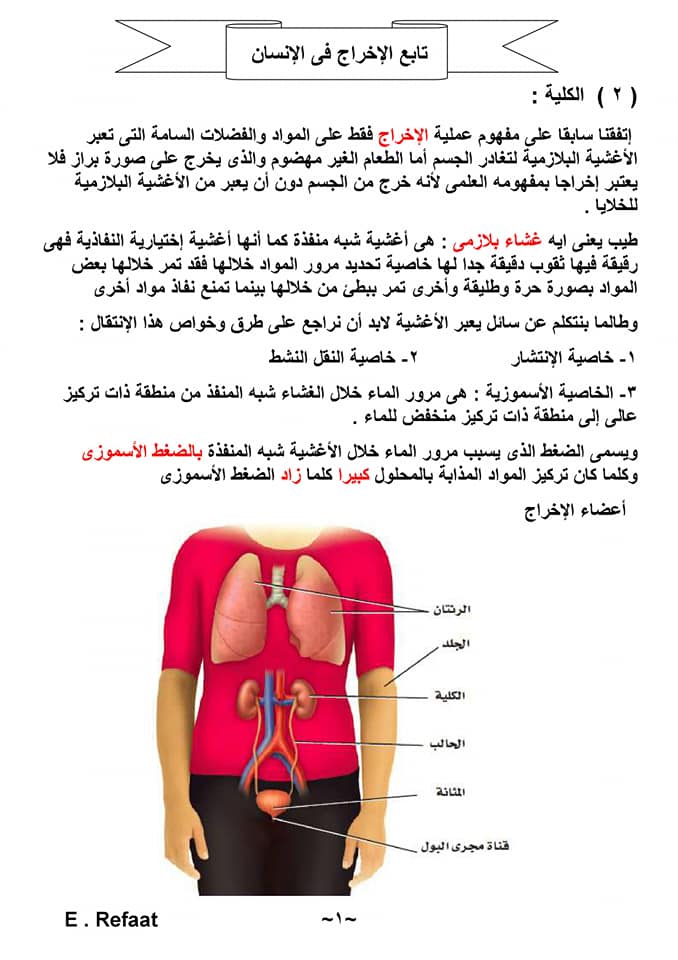 مذكرة أحياء للصف الثاني الثانوي ترم ثاني وبنك أسئلة للأذكياء فقط