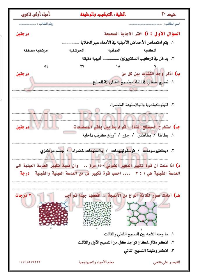 اختبر_نفسك_شيت_٢٠ - أحياء أول ثانوي.. اختبرنفسك شيت_٢٠.. الخلية : التركيب والوظيفة  12132