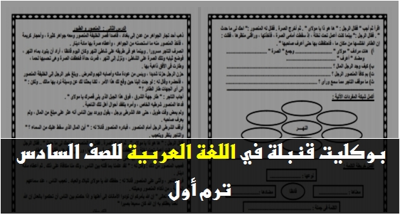 مذكرة قنبلة في اللغة العربية للصف السادس ترم أول 2019 169