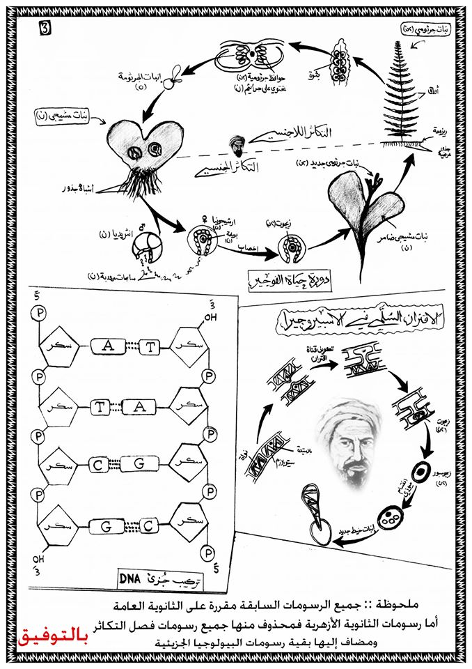 أطلس جميع رسومات الأحياء المقررة على طلاب الثانوية العامة