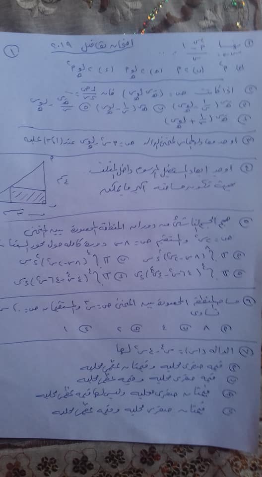 التفاضل - اجابة امتحان التفاضل والتكامل للثانوية العامة 2019 21160