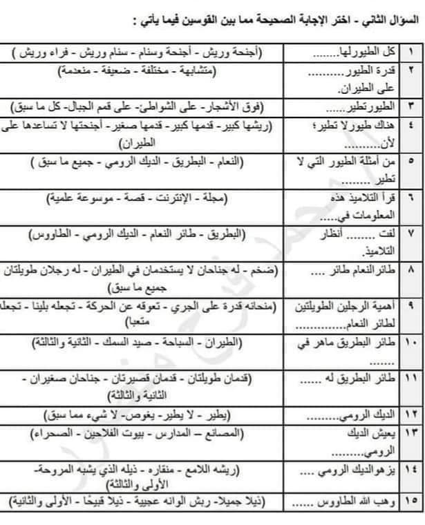 مراجعة لغة عربية للصف الرابع الابتدائي.. درس طيور لا تطير بنظام الاختياري الجديد 22355