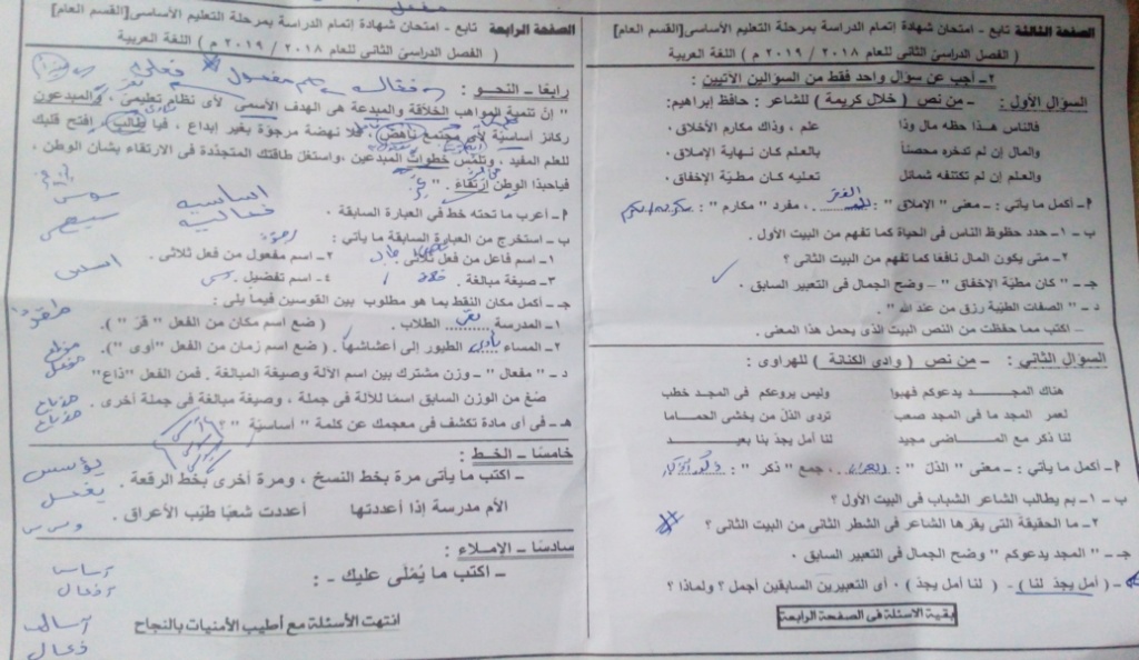 امتحان اللغة العربية للصف الثالث الاعدادي ترم ثاني 2019 محافظة شمال سيناء 2975