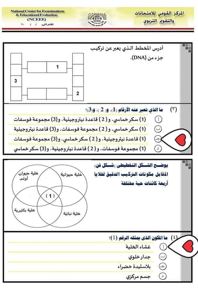 حل النموذج الاسترشادي احياء 1 ثانوي 2020