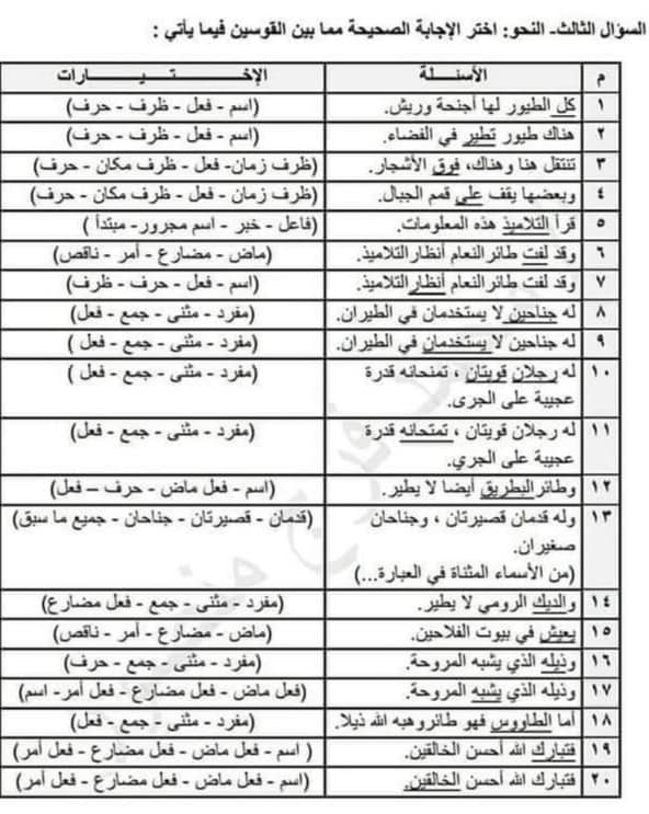 مراجعة لغة عربية للصف الرابع الابتدائي.. درس طيور لا تطير بنظام الاختياري الجديد