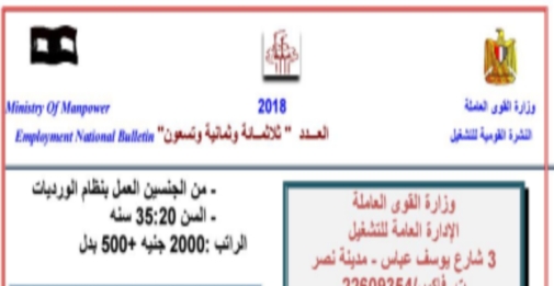 عاجل.. 1800 وظيفة متاحة بدءا من اليوم ولمدة 10 أيام براتب يصل لـ 5000 جنيه 3361