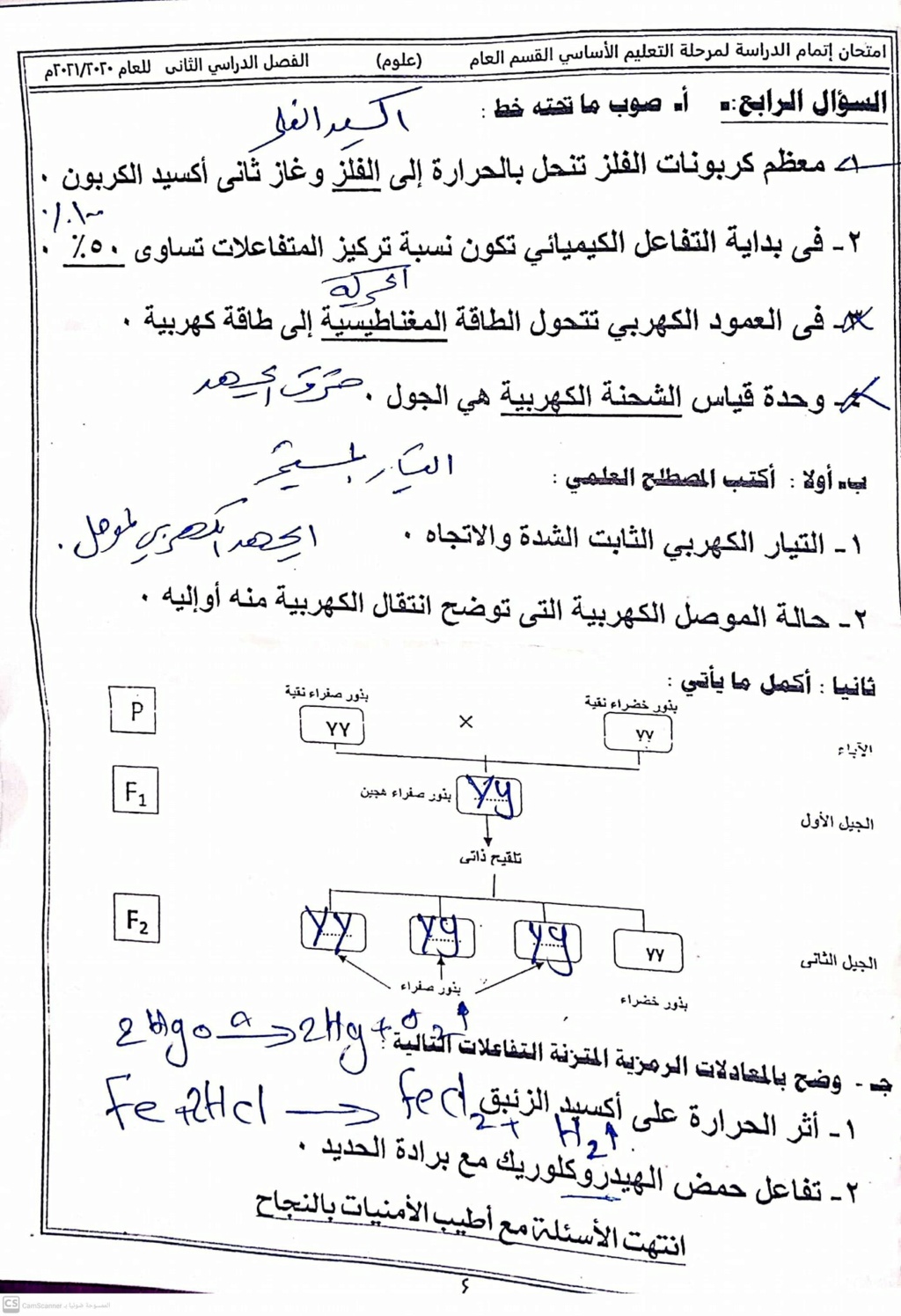 امتحان العلوم للشهادة الإعدادية ترم ثاني ٢٠٢١ محافظة شمال سيناء 41861