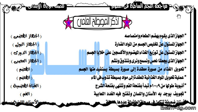 مراجعة العلوم للصف الرابع الابتدائي ترم ثانى أ/ أحمد حمدي