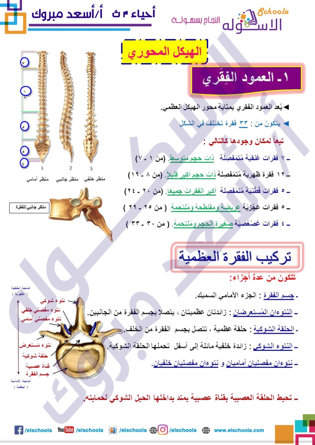 مراجعة الدعامة والحركة أحياء الصف الثالث الثانوي..أ/ أسعد مبروك 51047