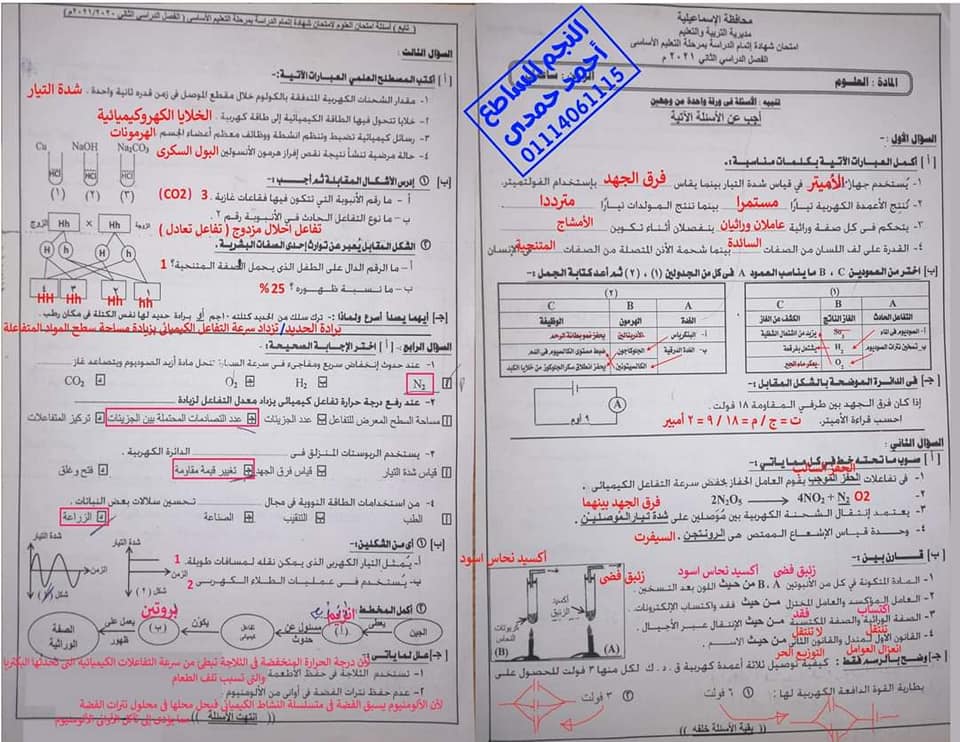  إجابة امتحان العلوم للشهادة الإعدادية ترم ثاني ٢٠٢١ محافظة الاسماعيلية 51384