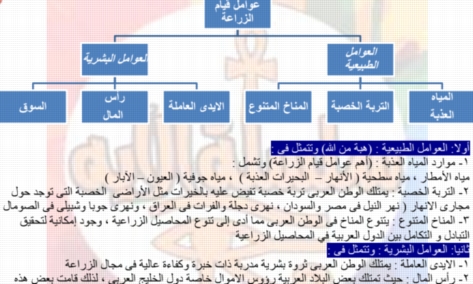 مذكرة الدراسات للصف الثاني الاعدادي ترم ثانى 2019 أ/ أيه السمكري 6354