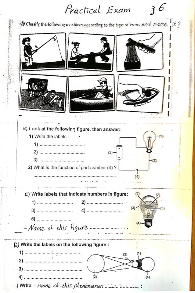 امتحان عملي Science للصف الخامس الابتدائي لغات ترم ثاني 6387