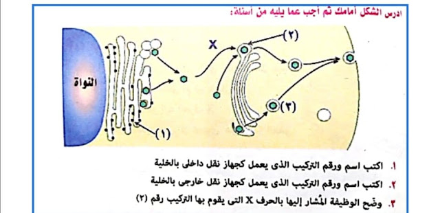 أحياء|  اختبار علي تركيب الخليه للصف الأول الثانوي مستر/ محمد عياد 66666610