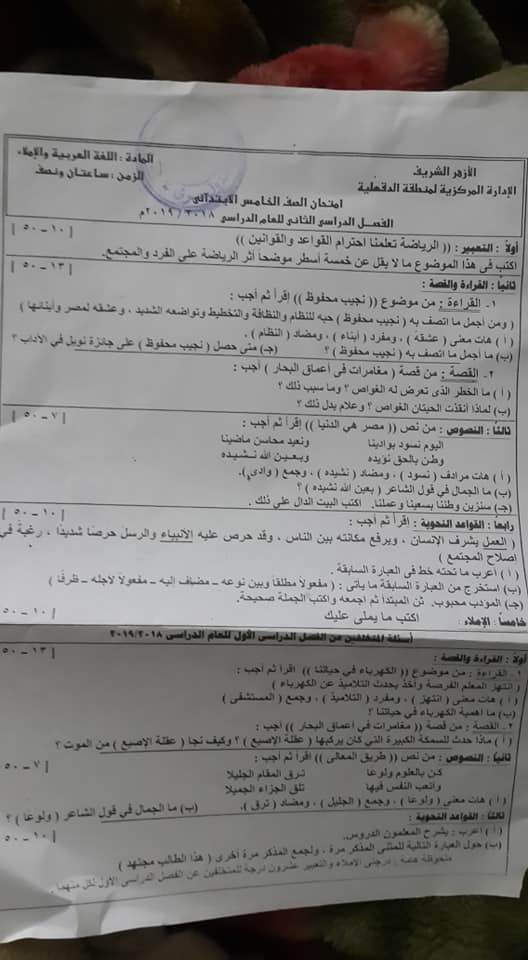 امتحان اللغة العربية للصف الخامس الابتدائي ترم ثاني 2019 منطقة الدقهلية 7298