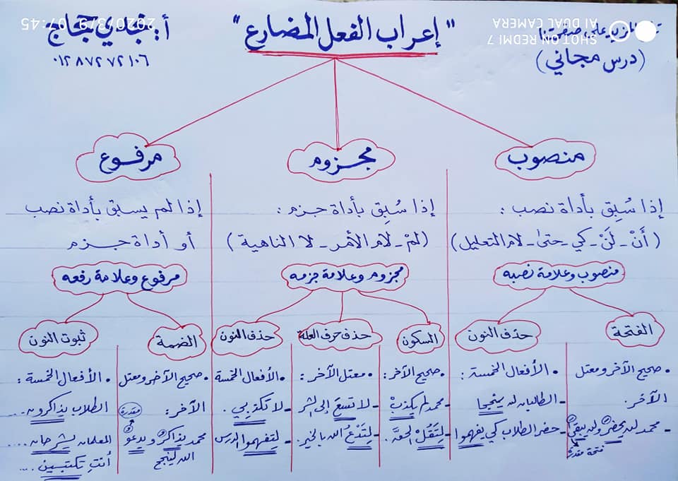 الثانى - مراجعة إعراب الفعل المضارع للصف السادس الترم الثانى 2022 للاستاذة نجلاء عبد الجواد  89238410