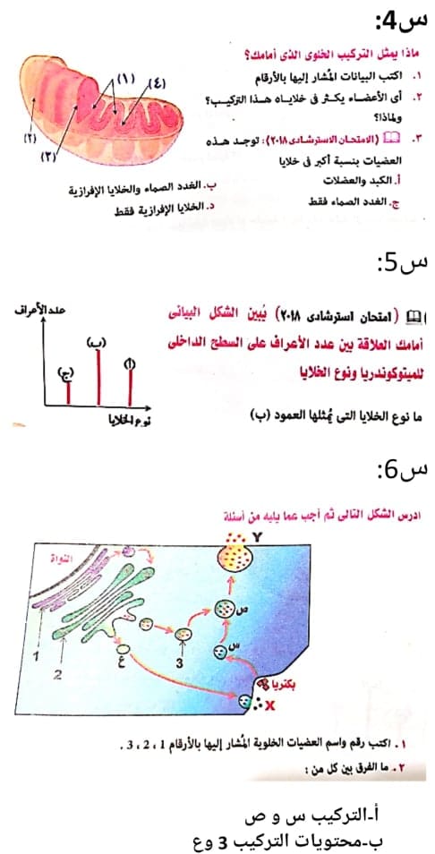 أحياء|  اختبار علي تركيب الخليه للصف الأول الثانوي مستر/ محمد عياد