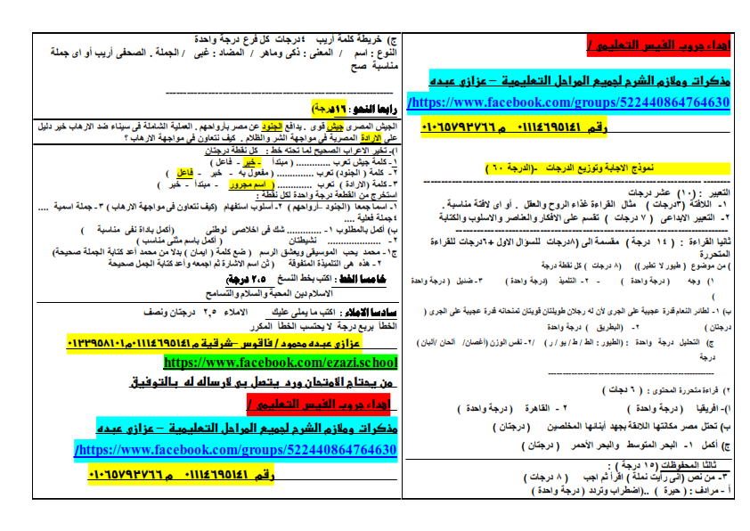 امتحان عربى للصف الرابع الابتدائي الفصل الدراسي الثاني 2019 بنموذج الاجابة وتوزيع الدرجات  Aoya_e12