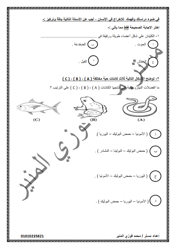 امتحان تجريبي أحياء الصف الثاني الثانوي نظام حديث الفصل الدراسى الثانى 2020