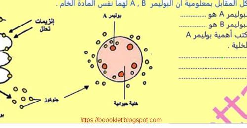 نماذج امتحانات الأحياء بالإجابات للصف الأول الثانوى ترم أول 2020 نظام جديد Safe_212