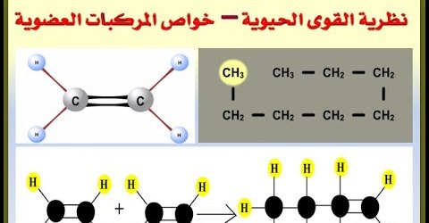 مراجعة الكيمياء العضوية  للصف الثالث الثانوي نظرية القوى الحيوية – خواص المركبات العضوية