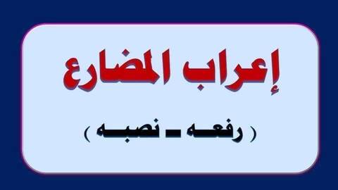 مذكرة نحو الصف الثاني الثانوي .. آل طمان أبو محمد