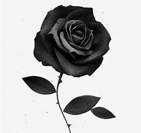 Deadly Rose de Charlie Genet & L.S.Ange Rose_n10
