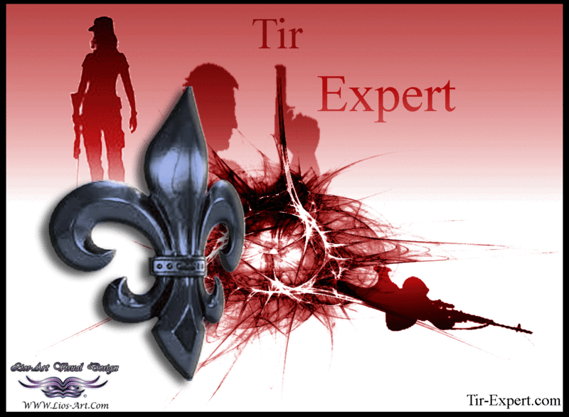 Concours "nouveau logo EXTRÊME PRÉCISION" Tir-ex11