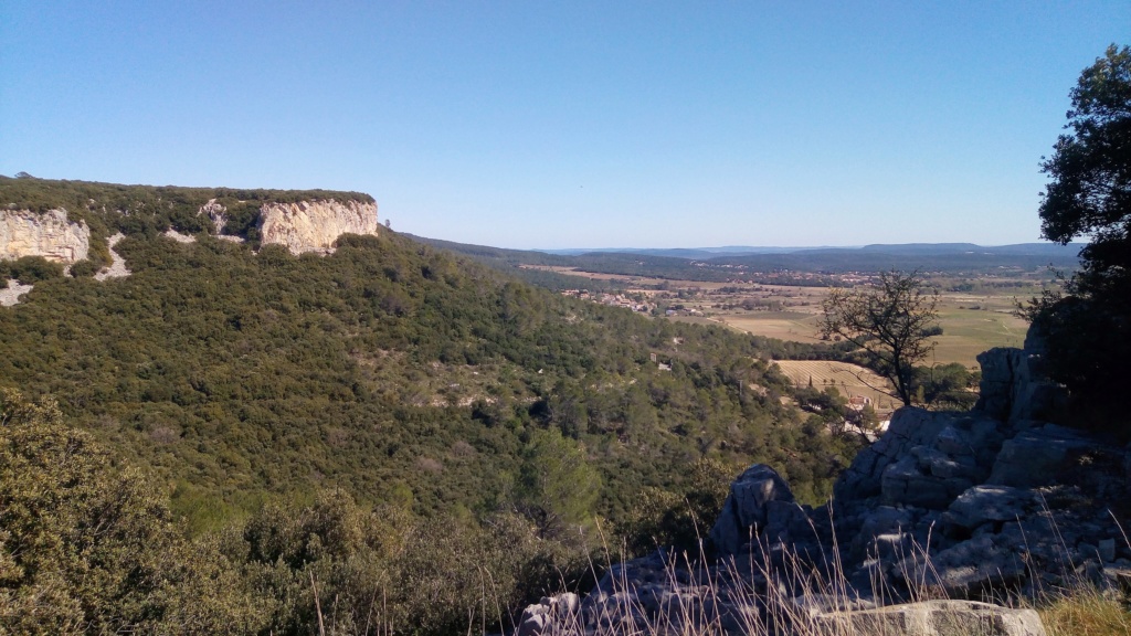Banane en basses-Cévennes - Page 2 P_201911