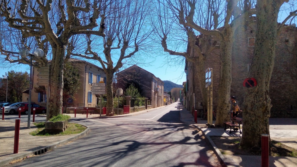 Banane en basses-Cévennes - Page 2 P_201914