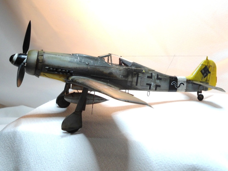 fw 190 d9 Hans Dortenmann Fw_19010