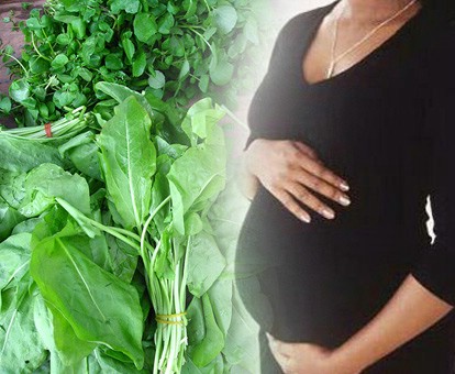 نصائح صحية : غذاؤك الاساسي خلال الحمل لسلامتك وسلامة ظفلك Ooo10