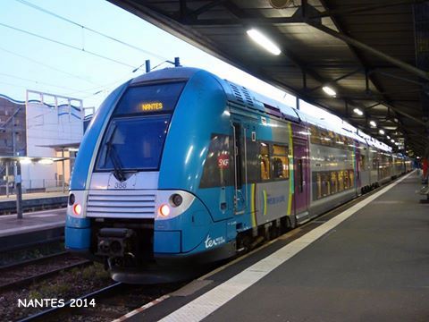 Au repos à St Nazaire.... 10425110