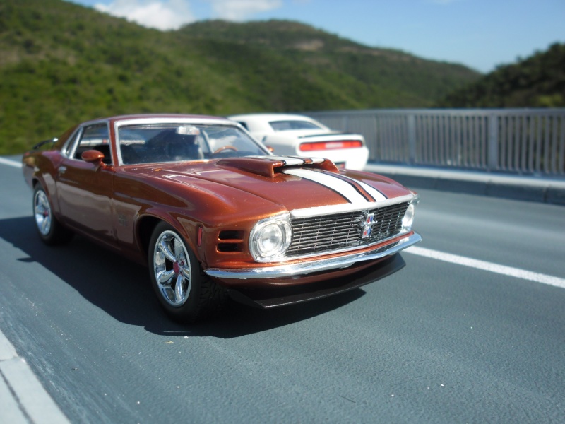 Mustang Boss 429 1970 (Article de bienvenue !)  - Page 2 Sam_4411