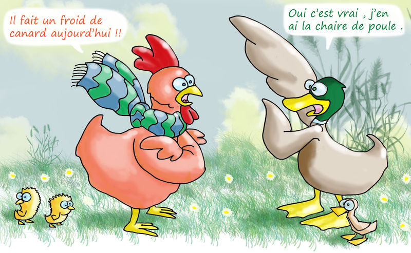 Téléchargement gratuit Images Humour De Poule actualisé salutations