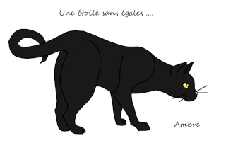 Atelier d'Aigle  Cat_sk10