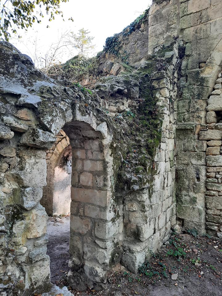 Église Notre-Dame-de-la-Nativité de Champlieu et Ruines Gallo-Romaines D'orrouy . 12004811
