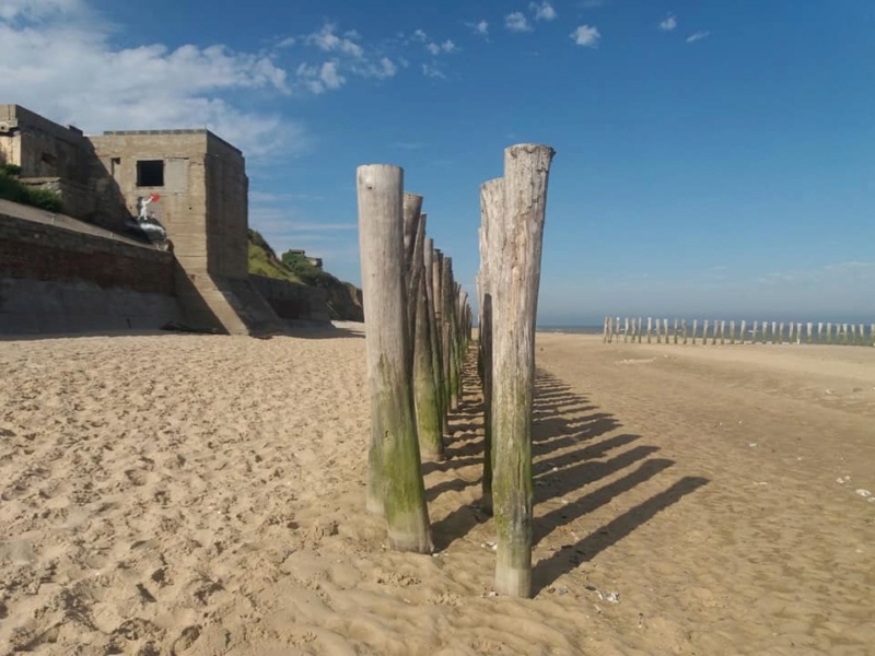 Cap Gris Nez et cap Blanc Nez dans le Nord Pas de Callais 65852910