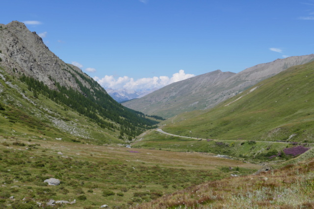 Les Marmottes du Col d'AGNEL le 07.08.2018 P1000816