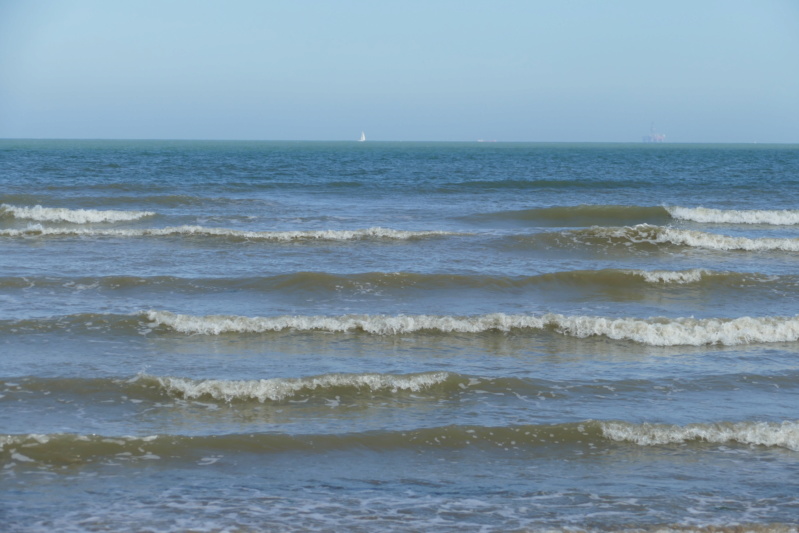 Cap Gris Nez et cap Blanc Nez dans le Nord Pas de Callais P1020516