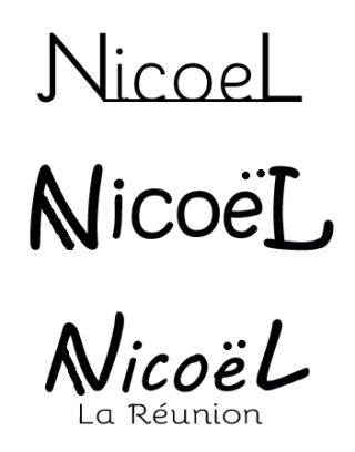 Les blaireaux de Nico - Page 29 Logo_210