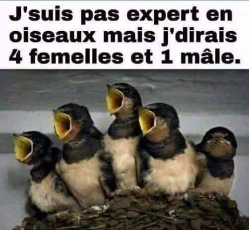 Un peu d'humour - Page 31 12723311