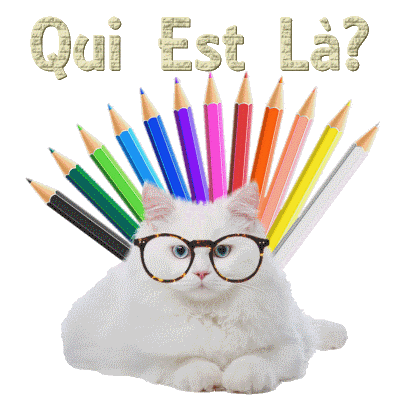 Qui est en ligne ?