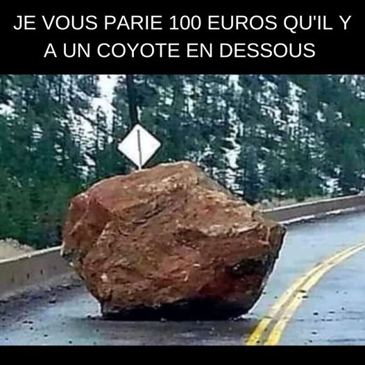 humour en images II Caillo10