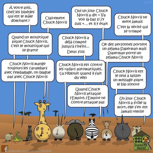 humour en images II - Page 14 Chuck_10