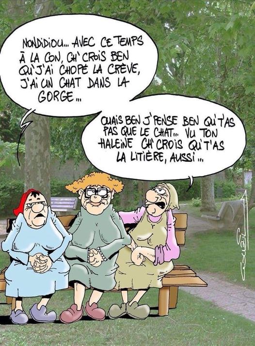 humour en images II - Page 9 Mamies10