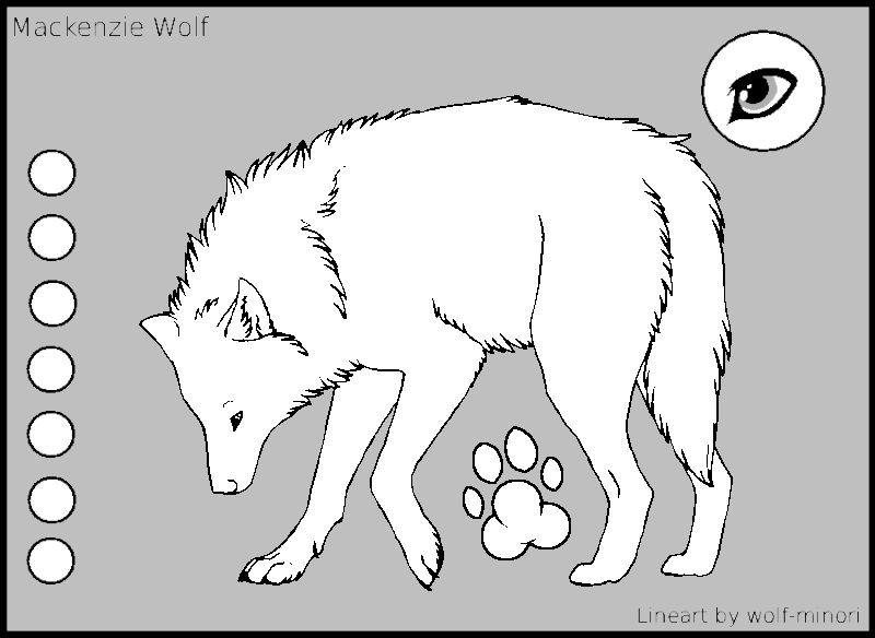 Euer erster Wolf - Seite 2 Macken10