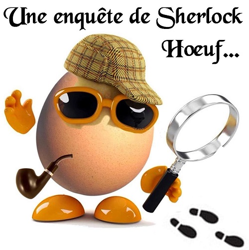 WHODUNIT ? Une enquête de Sherlock Hœuf… Sherlo17