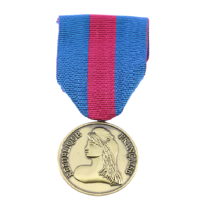 La médaille des réservistes volontaires de défense et de sécurité intérieure S-l16010