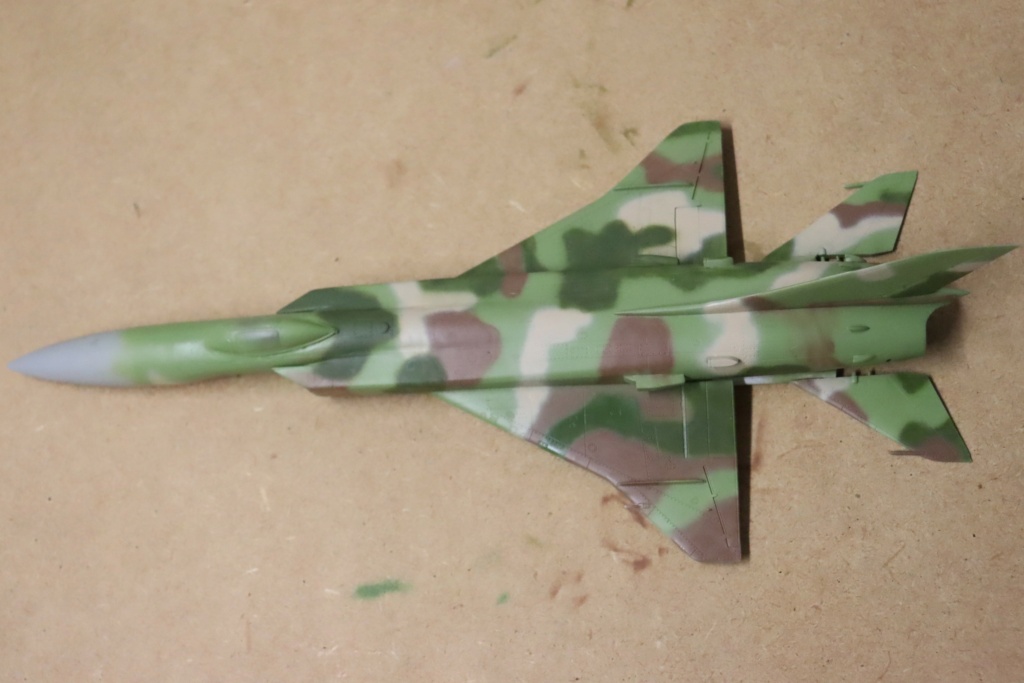 1/72 SUKHOI SU 15 TM flagon F Trumpeter - Page 2 Img_0246