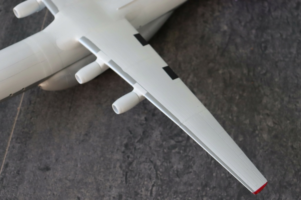 * 1/144   Antonov AN 22  A&A - Page 3 Img_9916